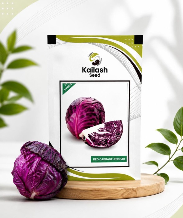 Red Cabbage